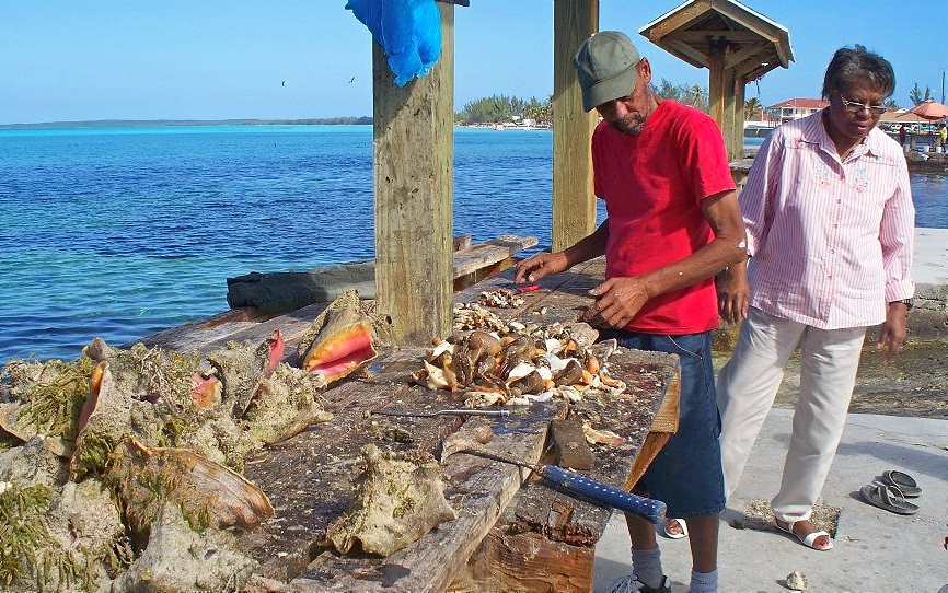 You will find the local islanders all along the oceanside cleaning conch to create popular specialties like conch fritters and conch salad. 