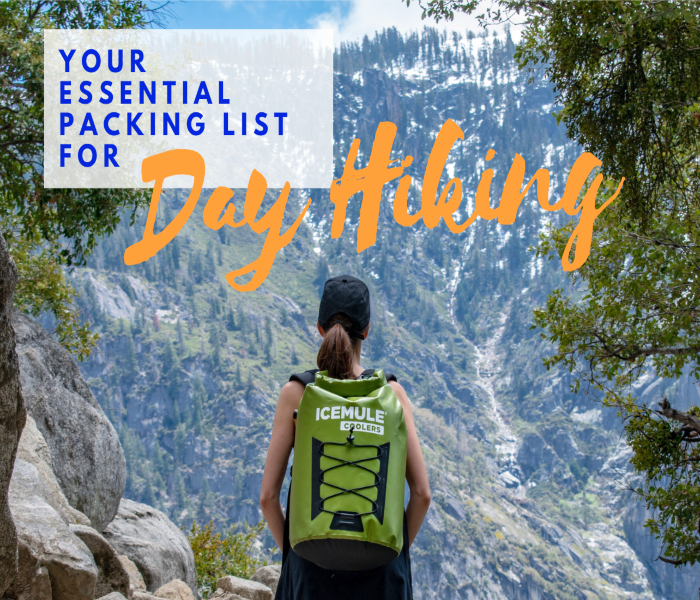Your Day Hiking Essentials Packing List - Fuel For The Sole Travel, Outdoor  & Adventure
