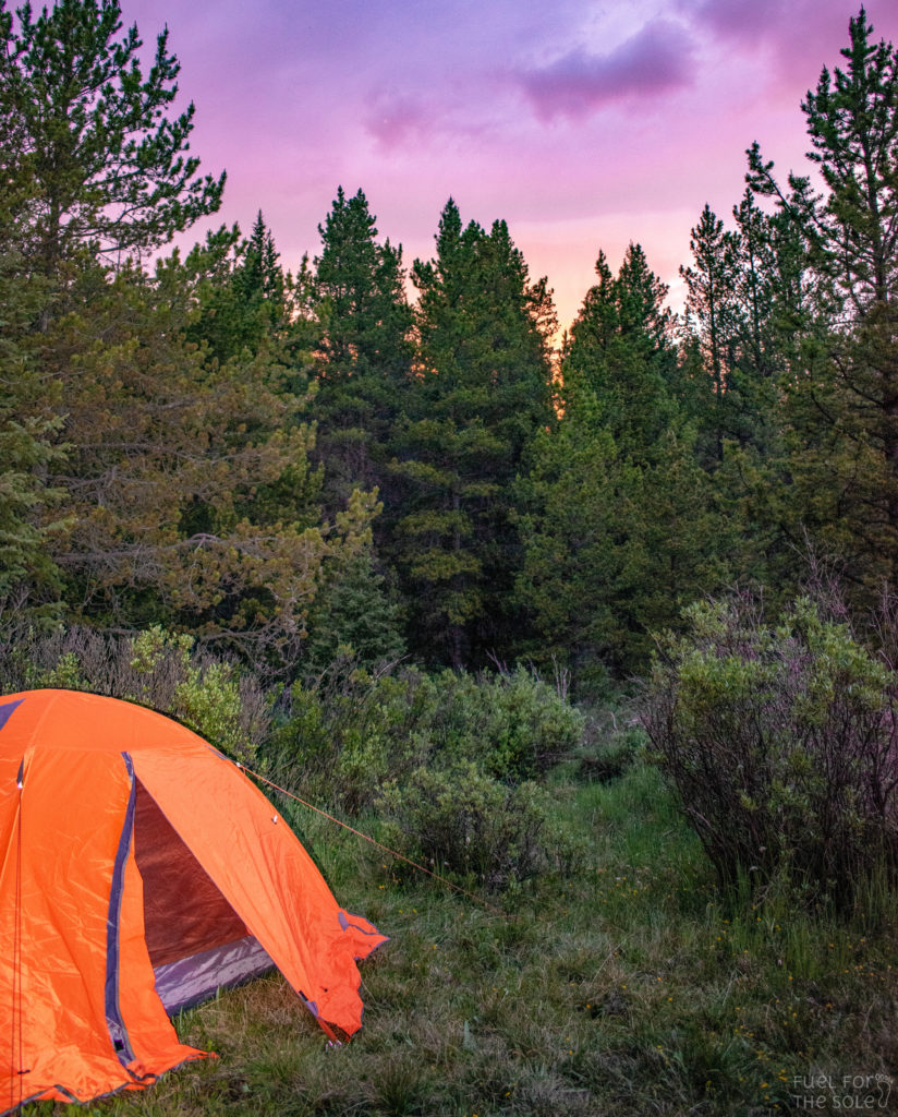 How to set up a campsite - Here are the top 10 tips for hiking for beginners. Our guide provides a list on essential pieces of gear, safety tips and how to avoid common mistakes.
